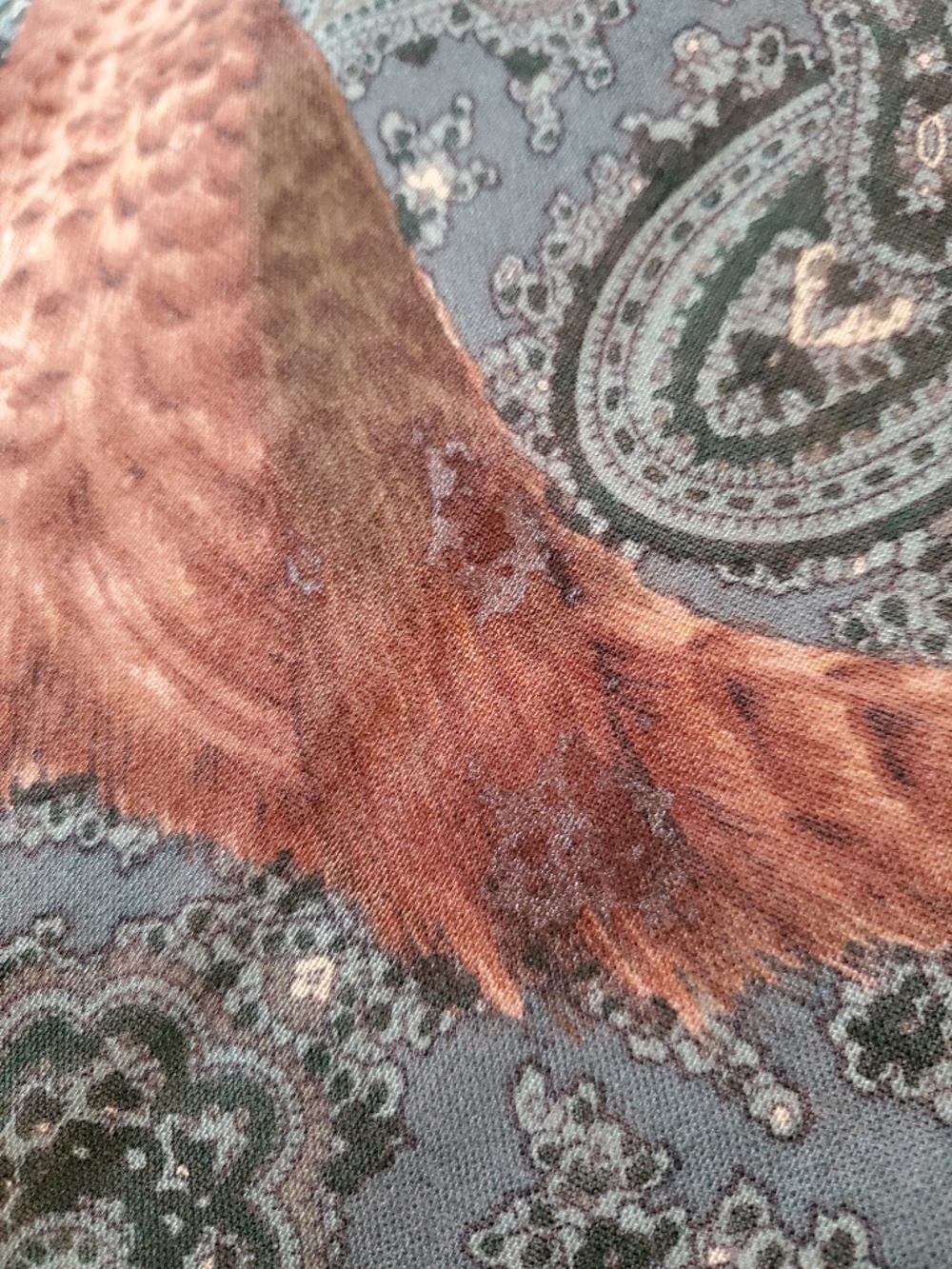 Vintage Georges Rech bird motif scarf, fair condition - Picture 11 of 13
